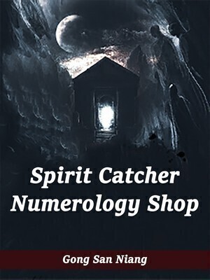 Spirit Catcher: Numerology Shop